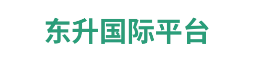 东升国际